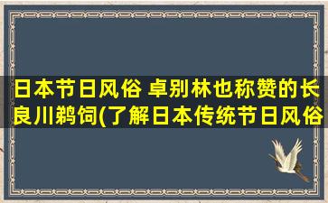 日本节日风俗 卓别林也称赞的长良川鹈饲(了解日本传统节日风俗：赞誉长良川鹈饲的节日。)